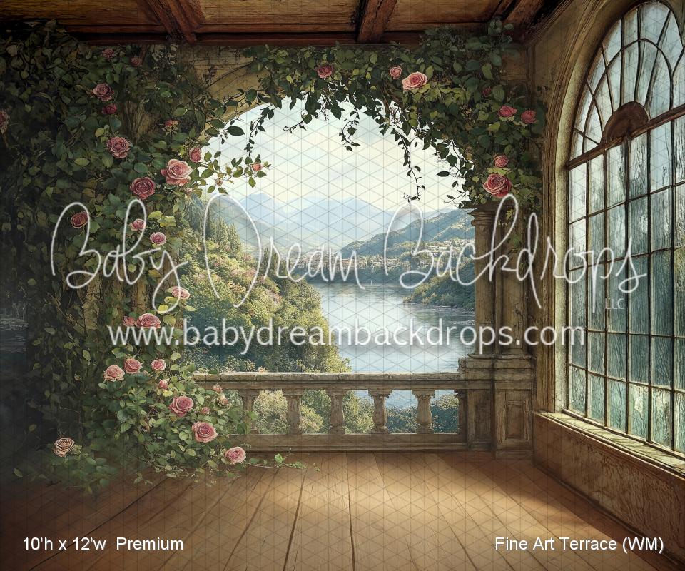 Fine Art Terrace (WM)