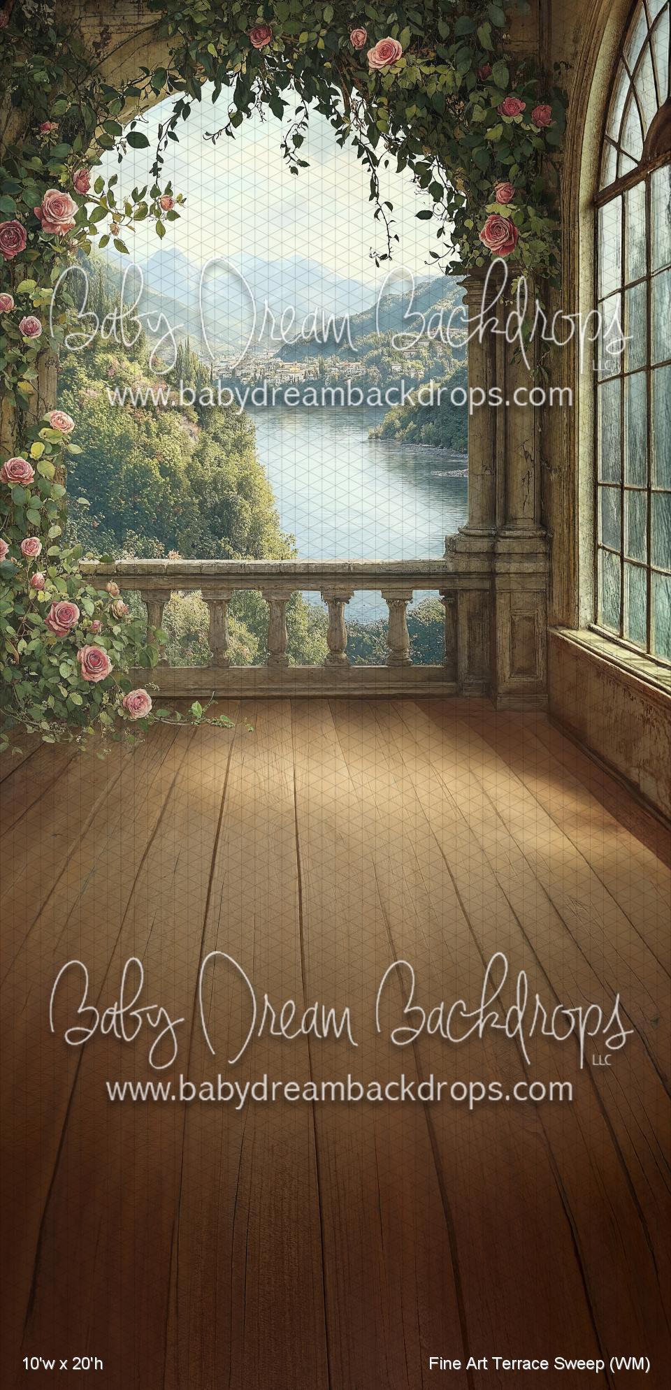 Fine Art Terrace Sweep (WM)