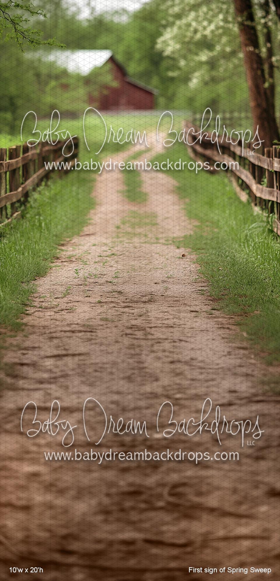 First sign of Spring Sweep (VR)