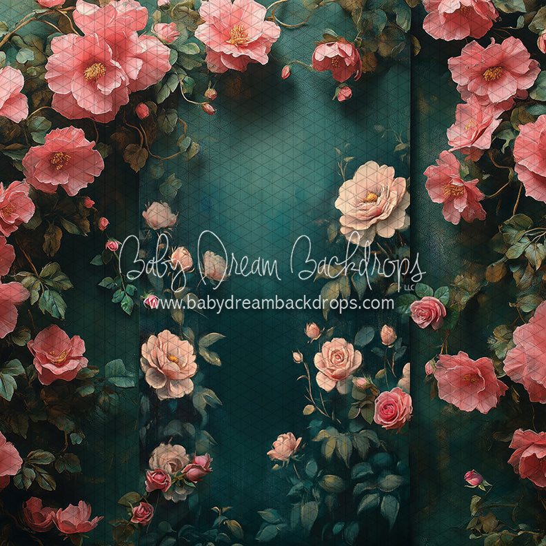 Nova Rich Spring (CC)