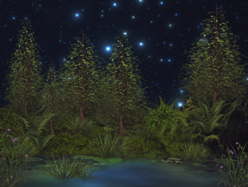 Midnight Marsh 60x80