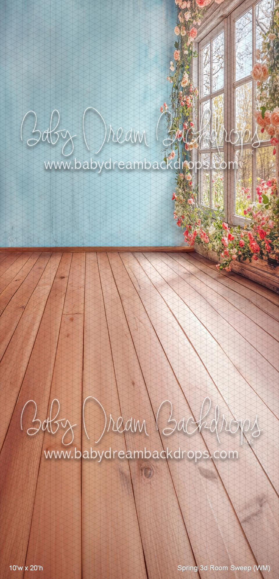 Spring 3d Room Sweep (WM)