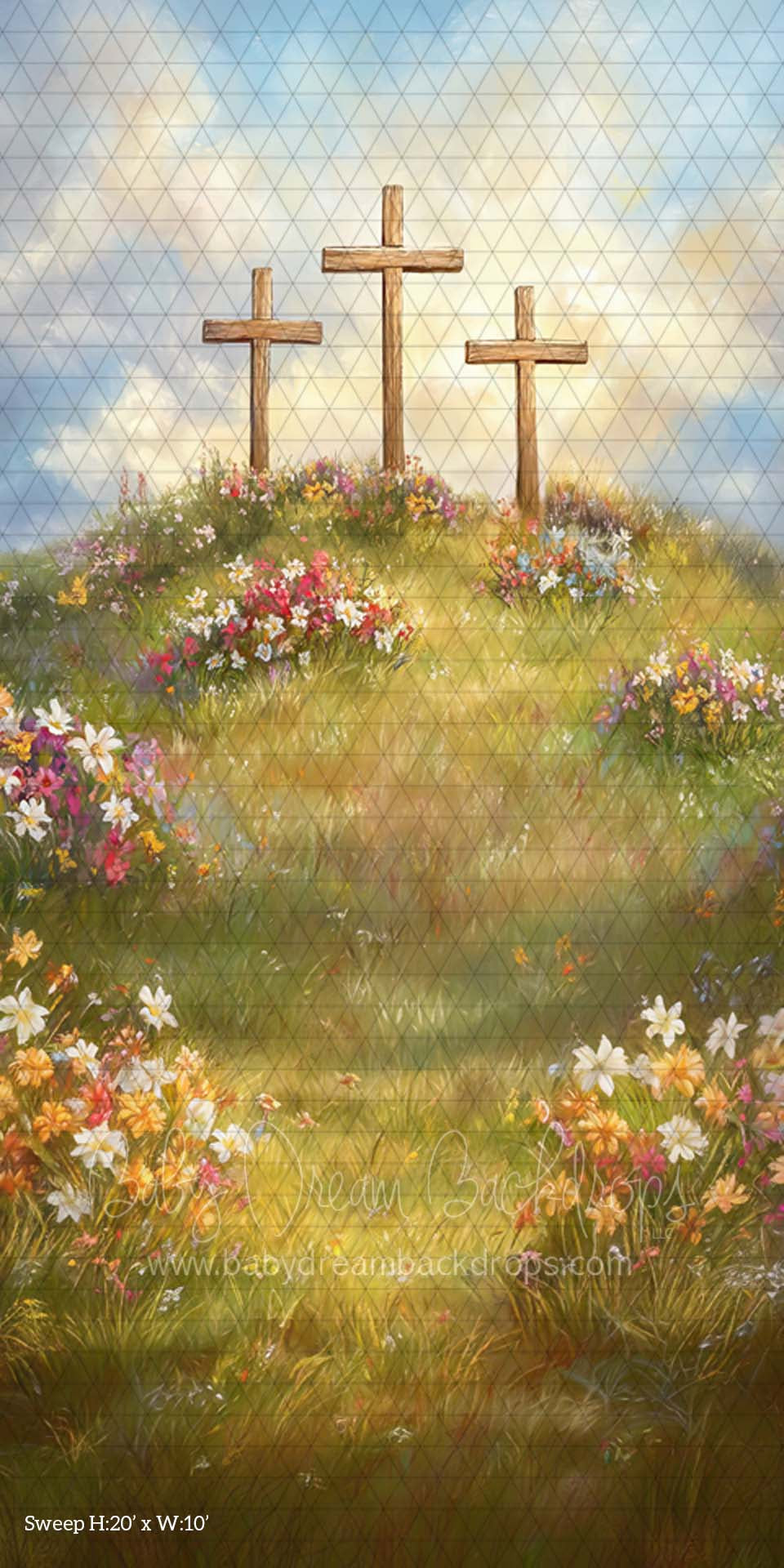 Sweep Spring Blessings (CM)