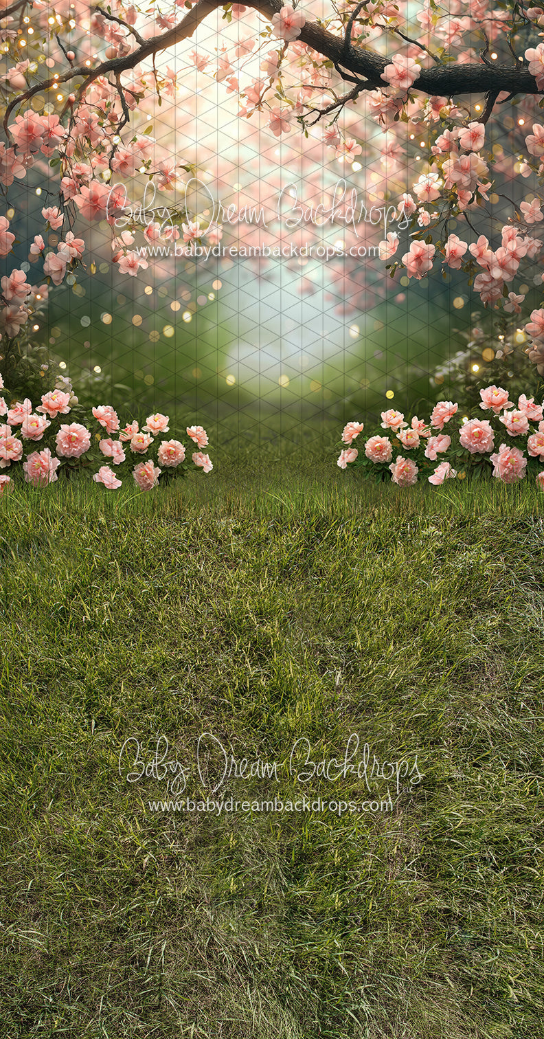 Sweeps Pink Blossom Gateway (JA)