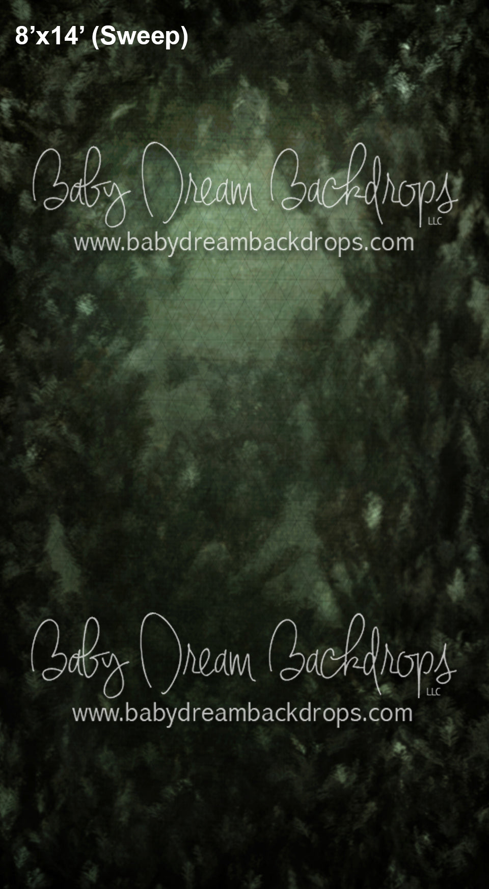 Sweeps Branches Pine (AZ)