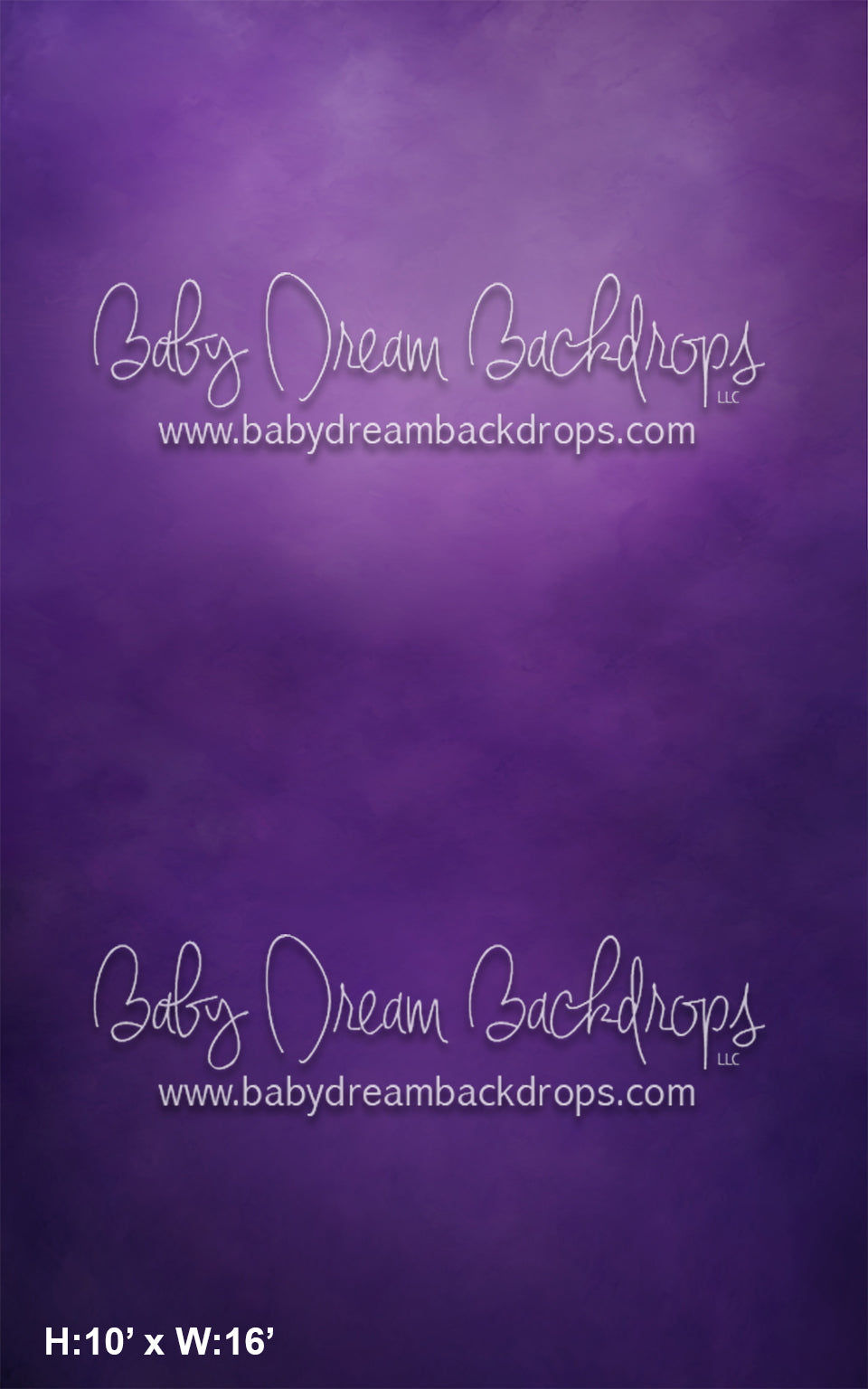 Sweeps CTandRina Fine Art Dream (AZ)