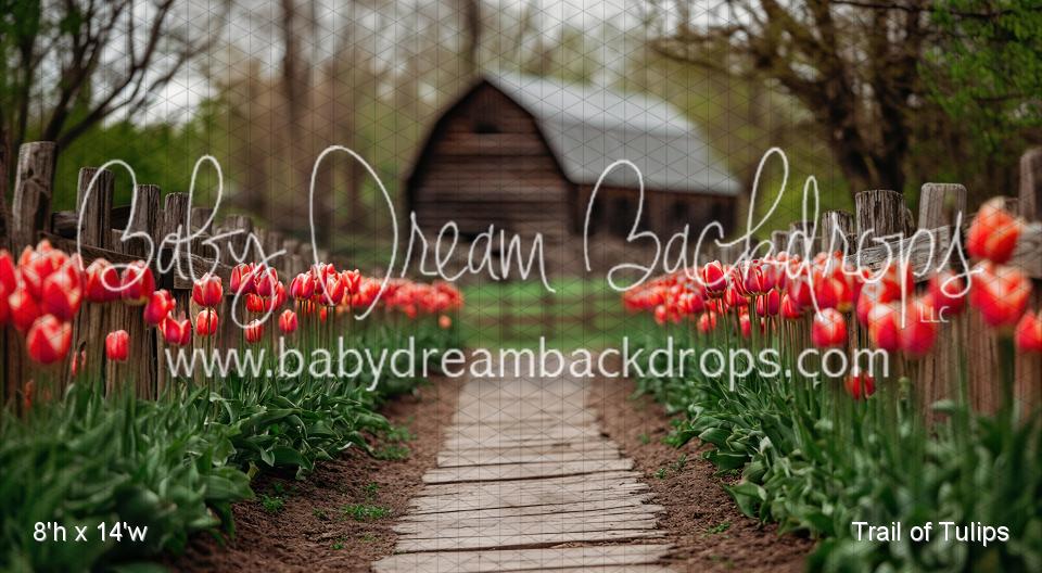 Trail of Tulips (VR)