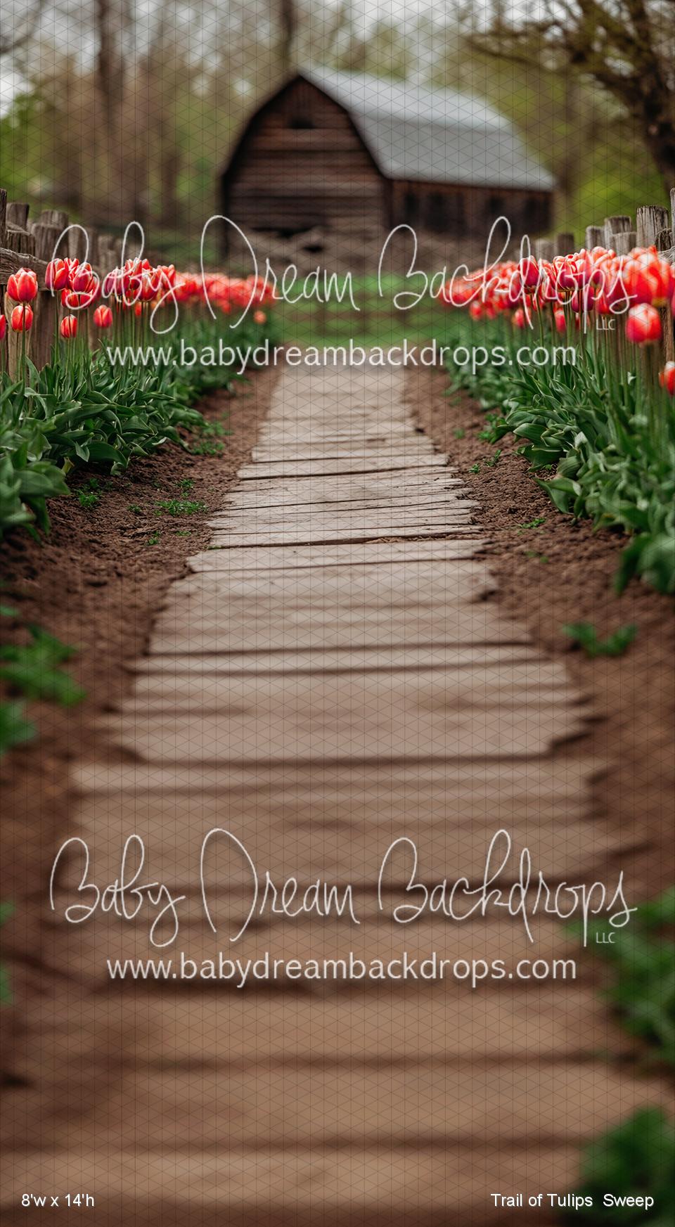 X Drop Trail of Tulips Sweep (VR)