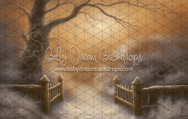 Golden Hour Winter Path (LL)