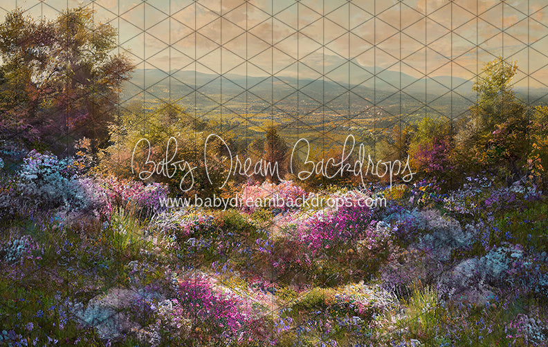 Hill Top Spring (LL)