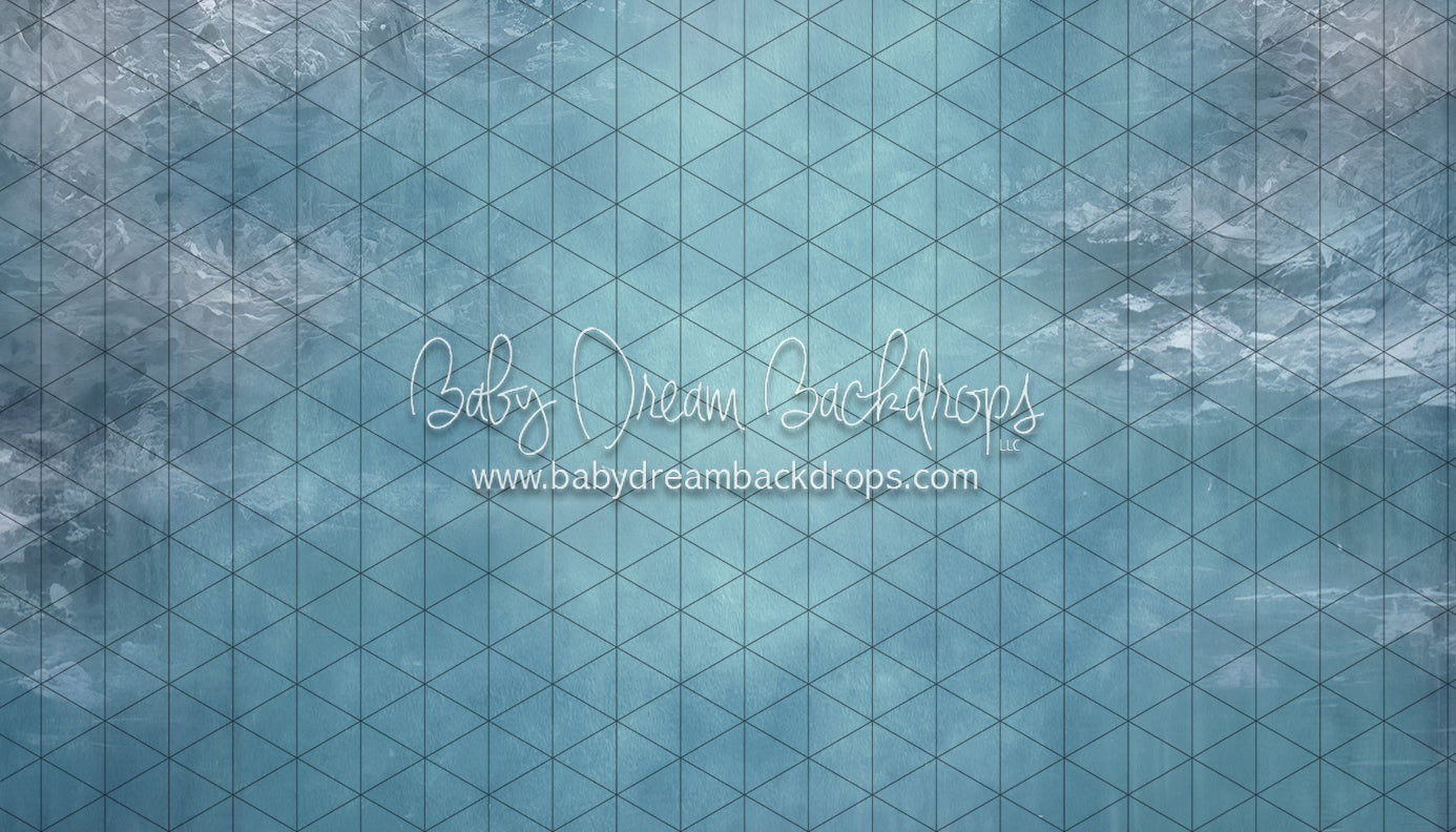 Pond Skating Fabric Floor (LL)