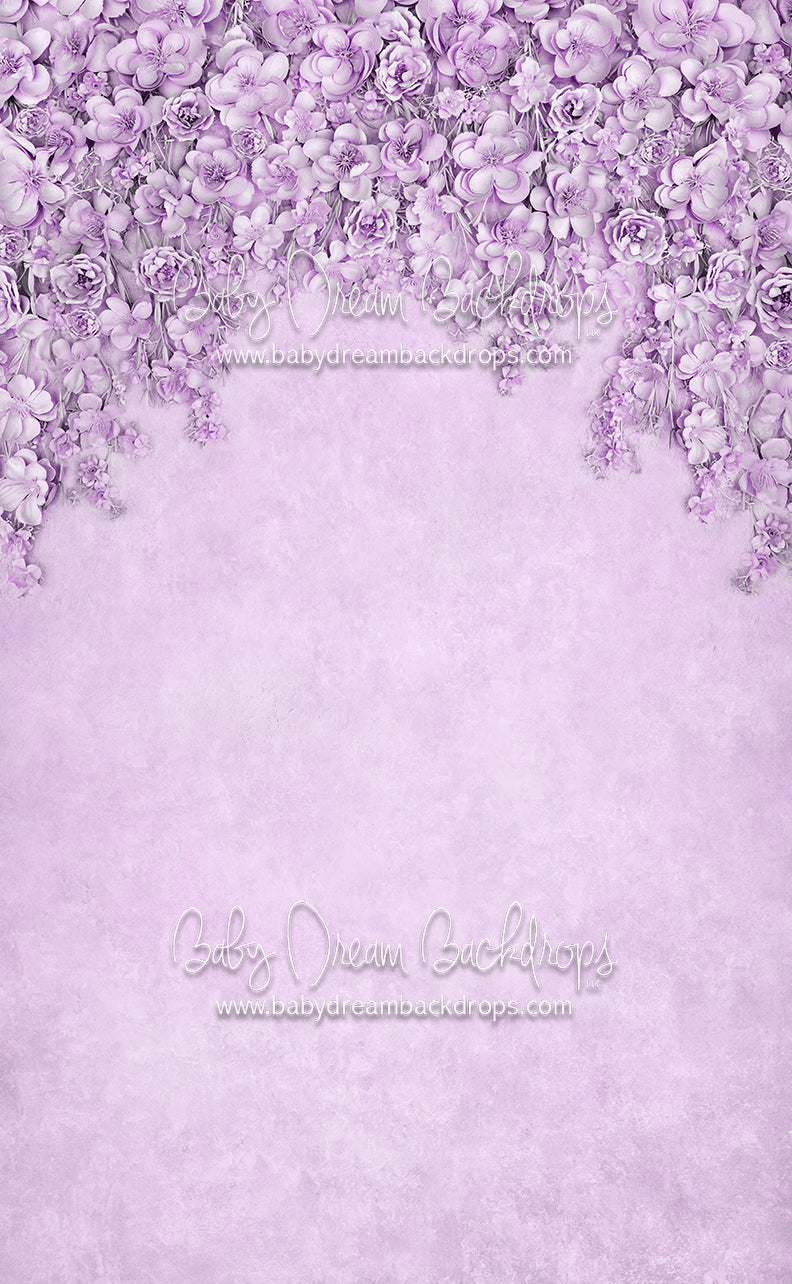 Sweeps Miss Maddie Lavender