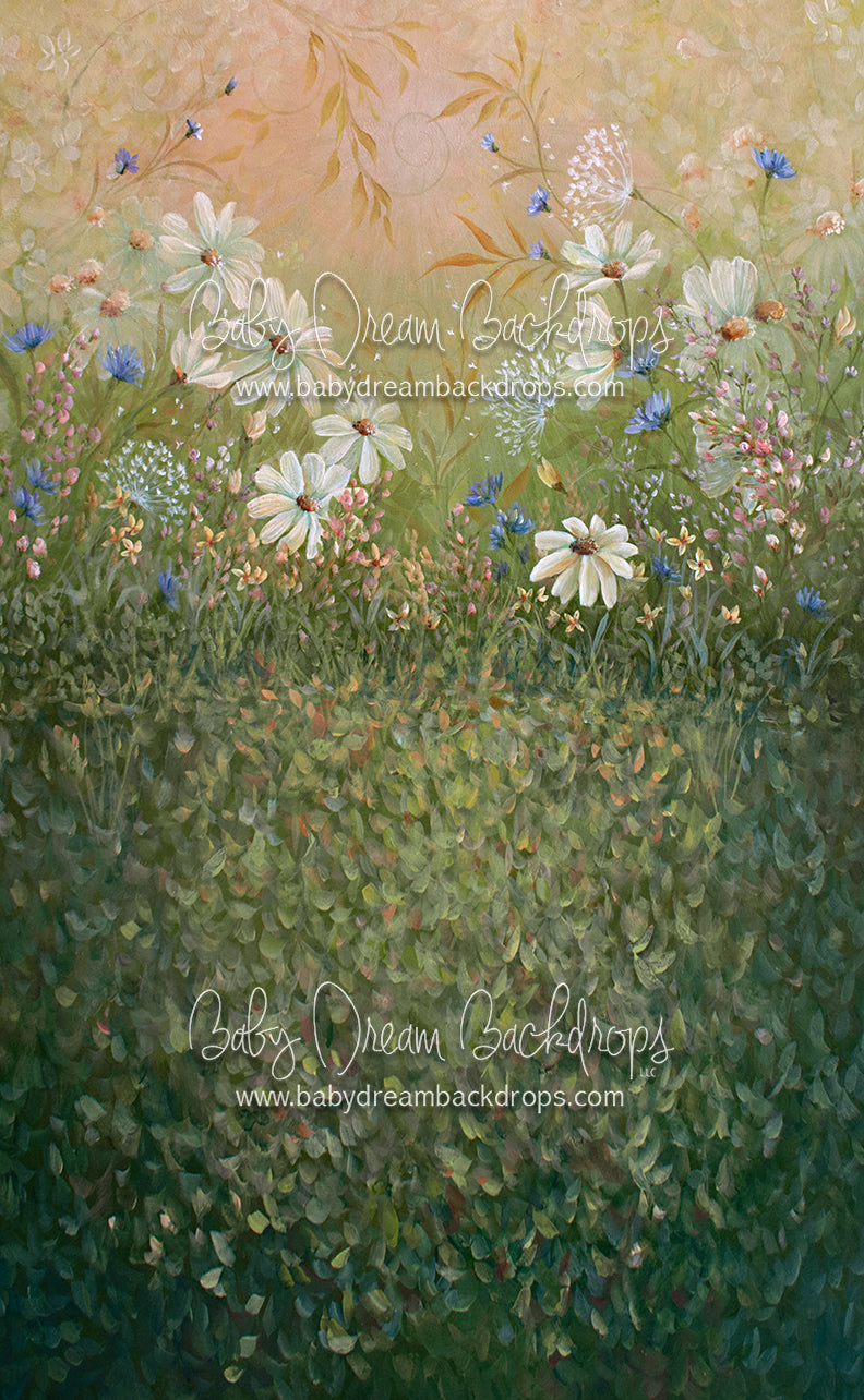 Sweeps Summer Sensation