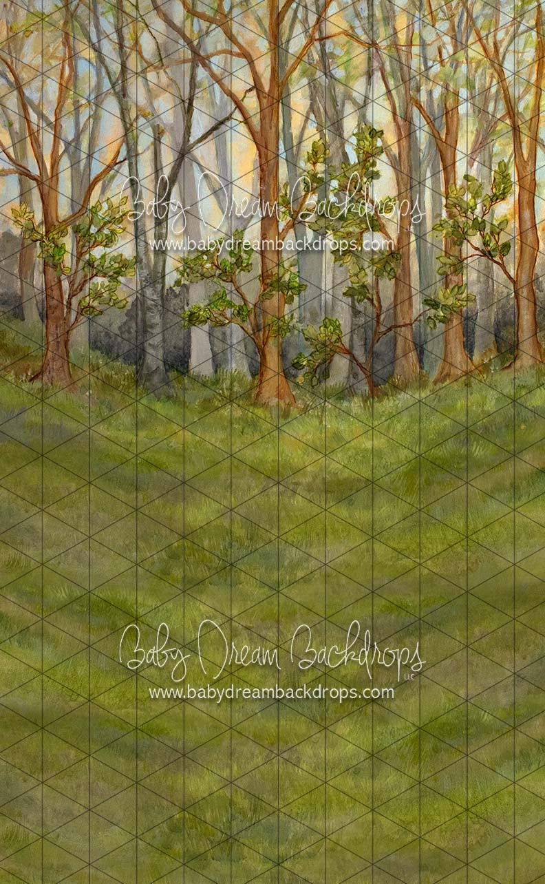 Sweeps Forest Simplicity (SS)