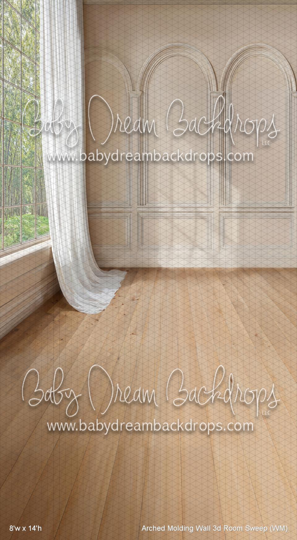 Arched Molding Wall 3d Room Sweep (WM)