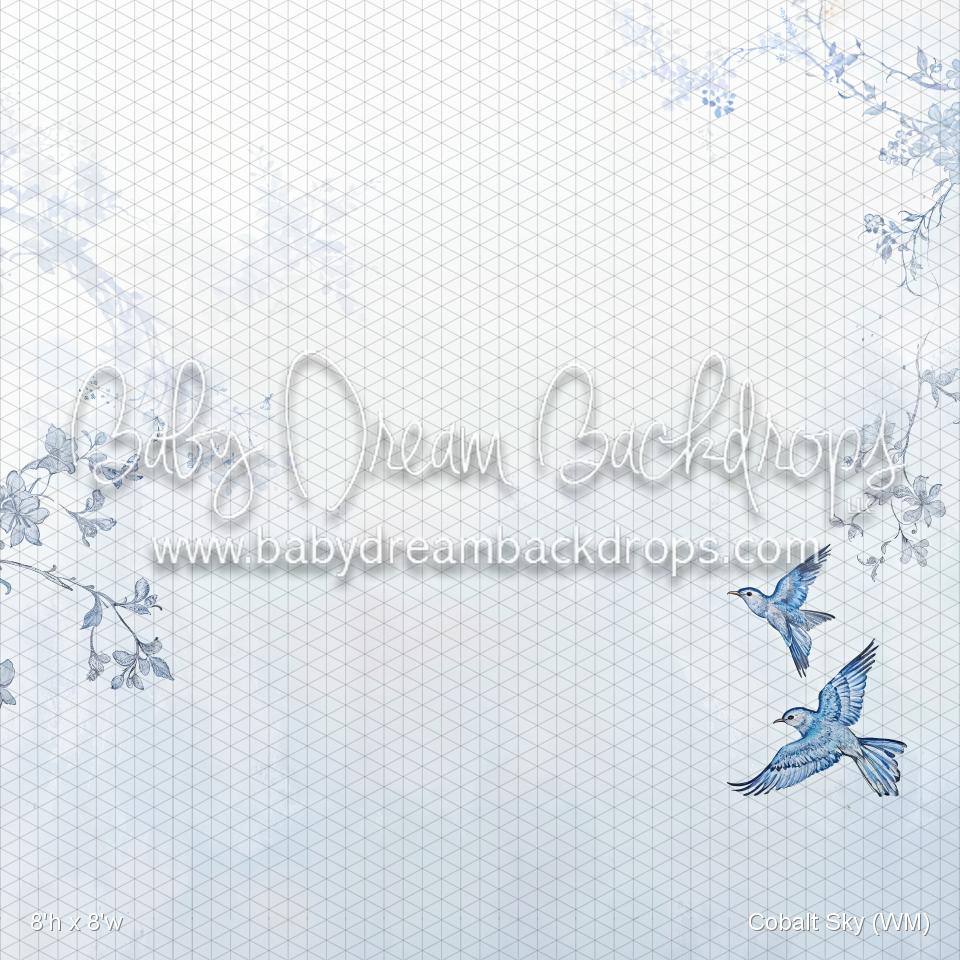 X Drop Cobalt Sky (WM)