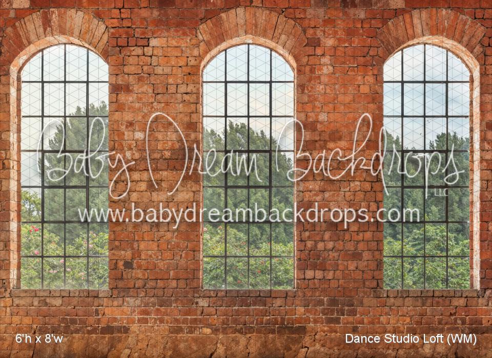 Dance Studio Loft (WM)