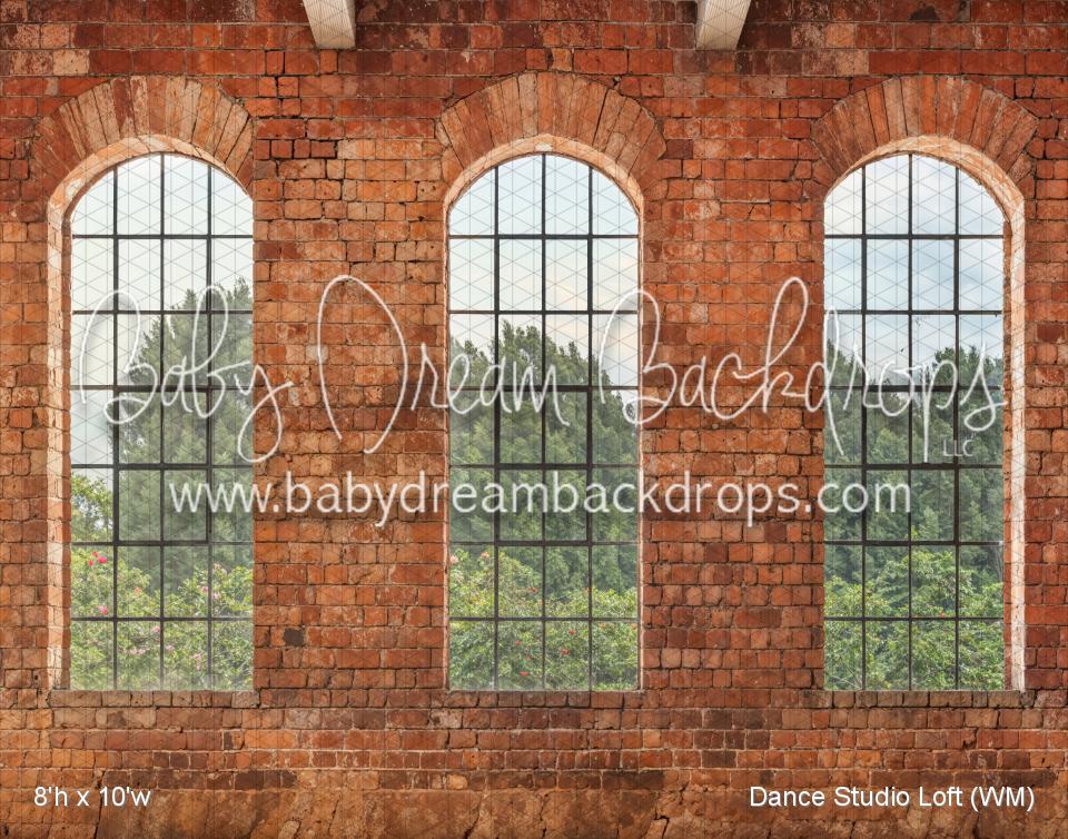 Dance Studio Loft (WM)