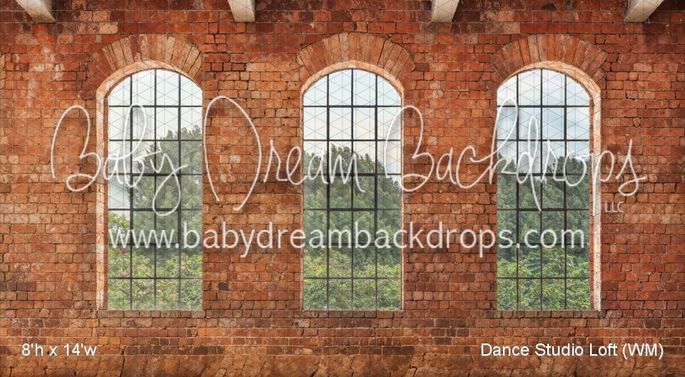 Dance Studio Loft (WM)
