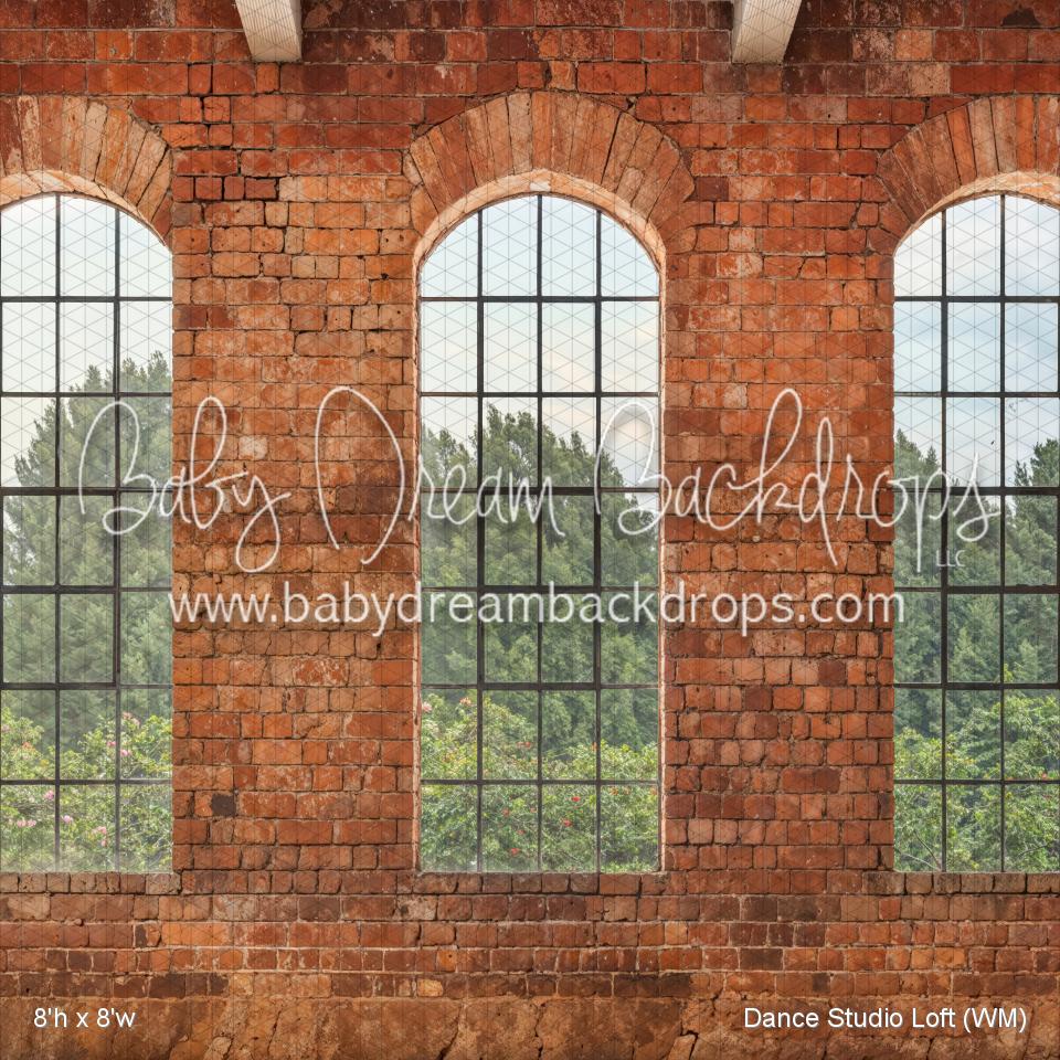 Dance Studio Loft (WM)
