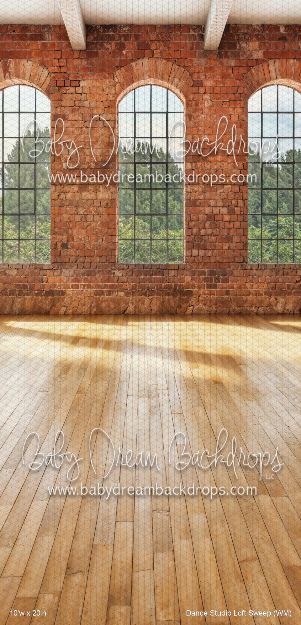 Dance Studio Loft Sweep (WM)