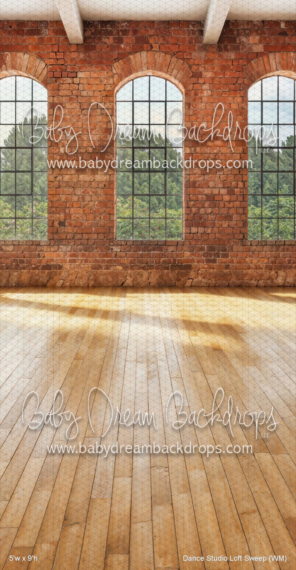 Dance Studio Loft Sweep (WM)