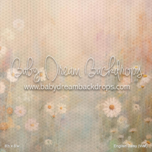 X Drop English Daisy (WM)