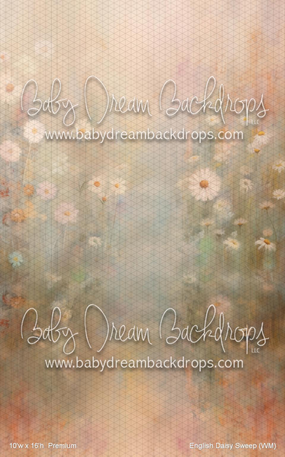 English Daisy Sweep (WM)