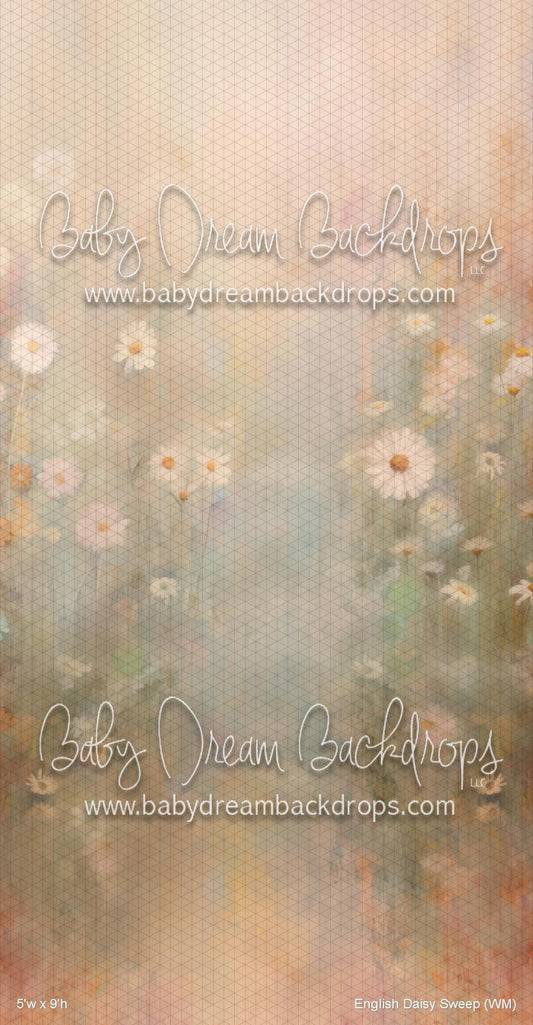 English Daisy Sweep (WM)