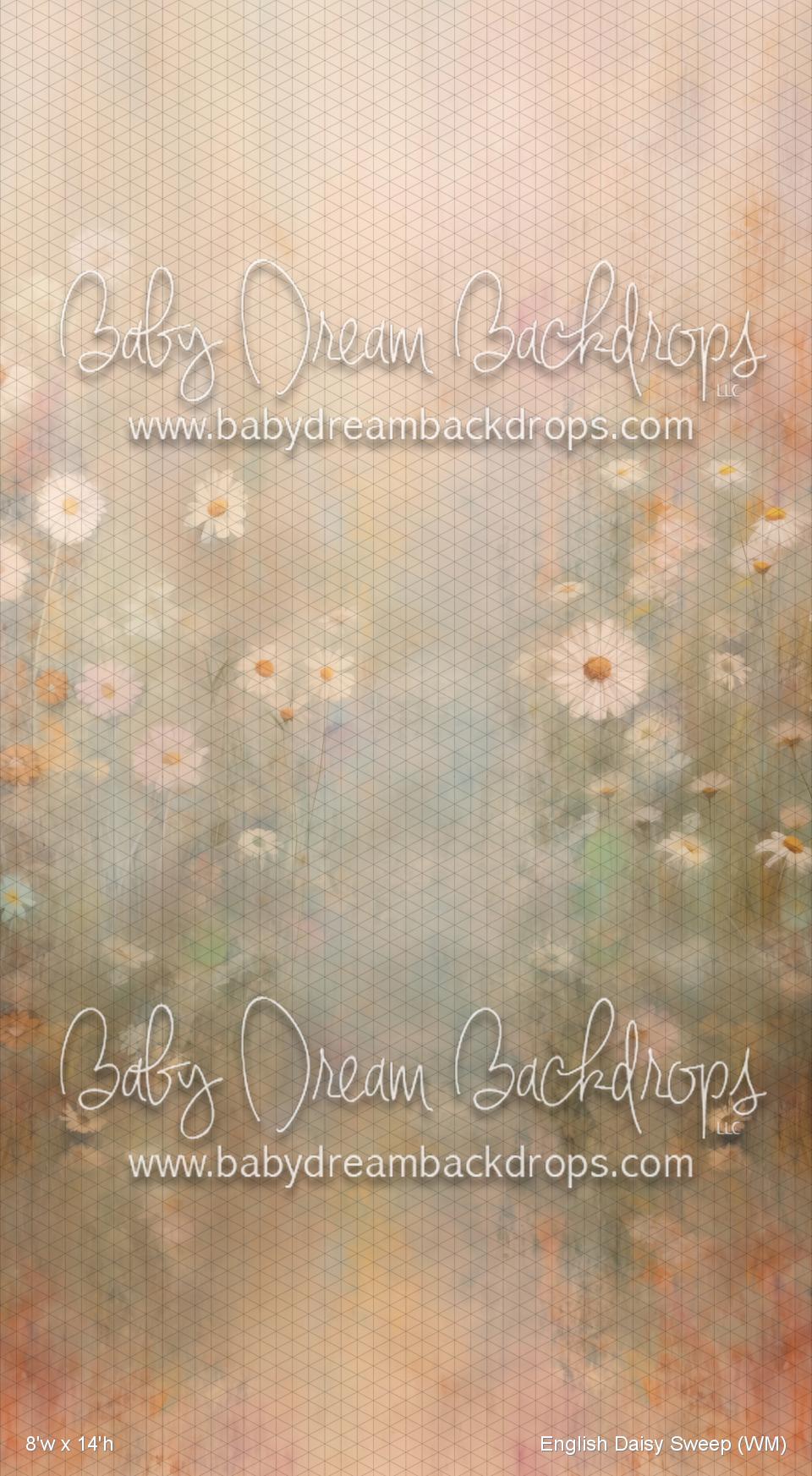 X Drop English Daisy Sweep (WM)