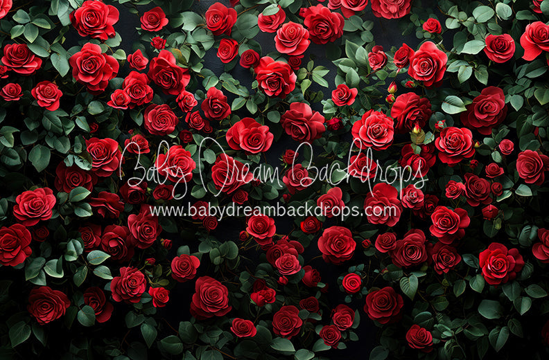 Everbloom Leopard Rose Wall (CC)