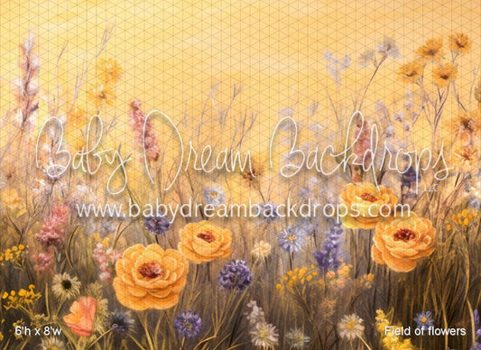 Field of flowers (VR)