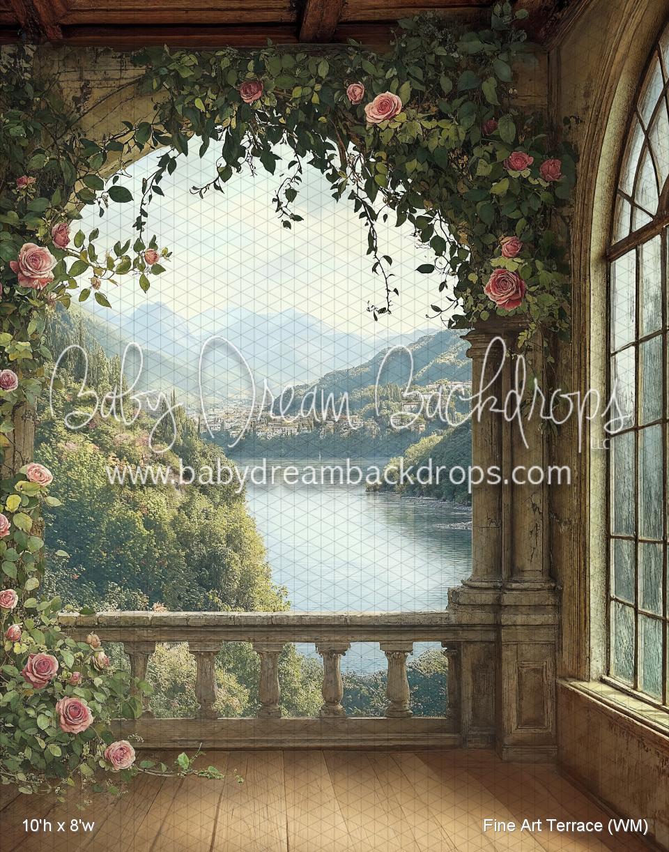 Fine Art Terrace (WM)