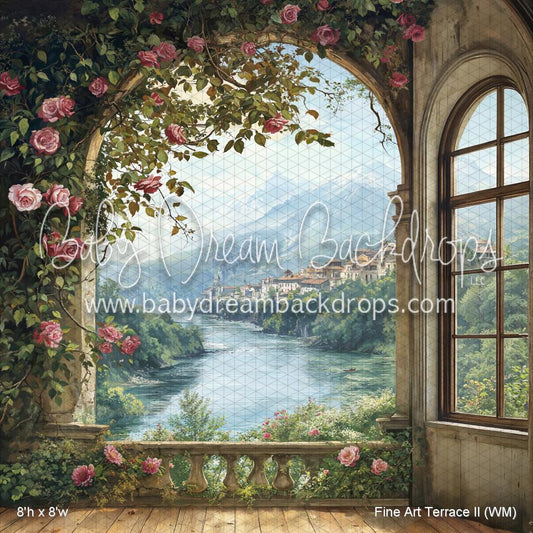 X Drop Fine Art Terrace II (WM)