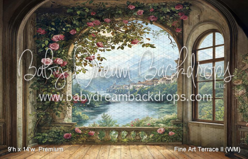 Fine Art Terrace II (WM)