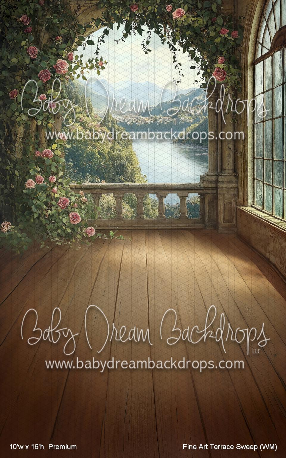 Fine Art Terrace Sweep (WM)