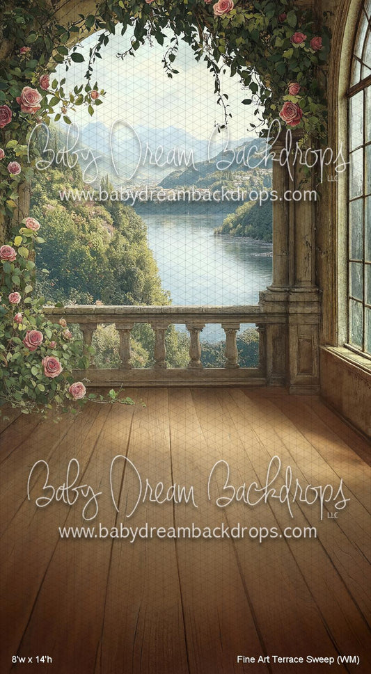 X Drop Fine Art Terrace Sweep (WM)