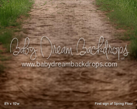 First sign of Spring Fabric Floor (VR)