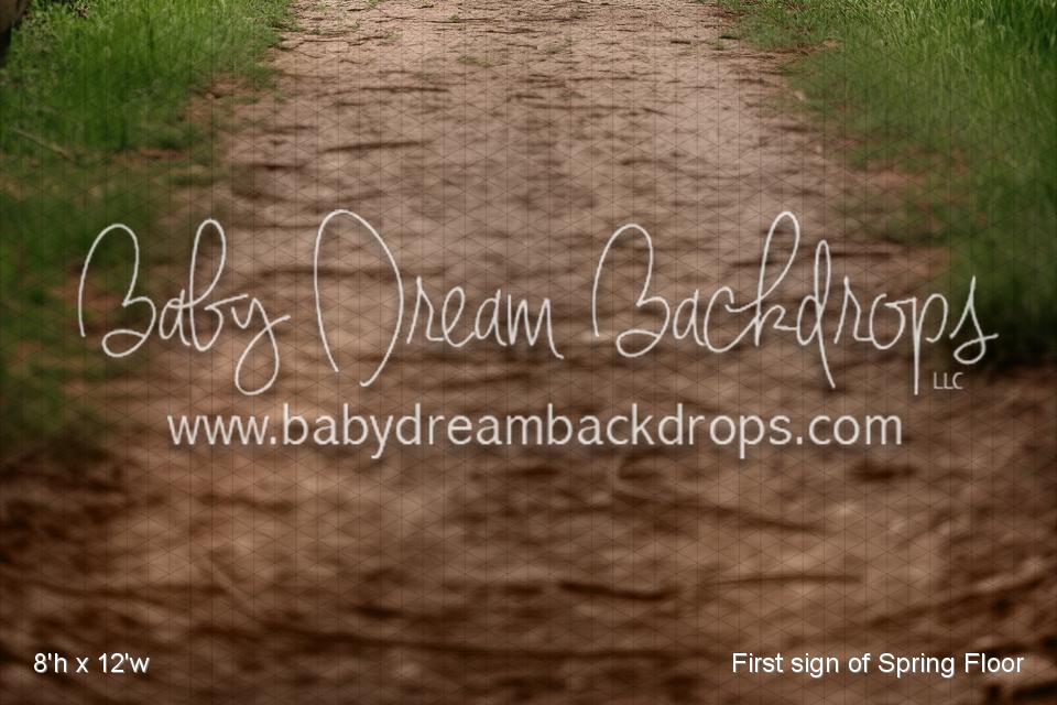 First sign of Spring Fabric Floor (VR)