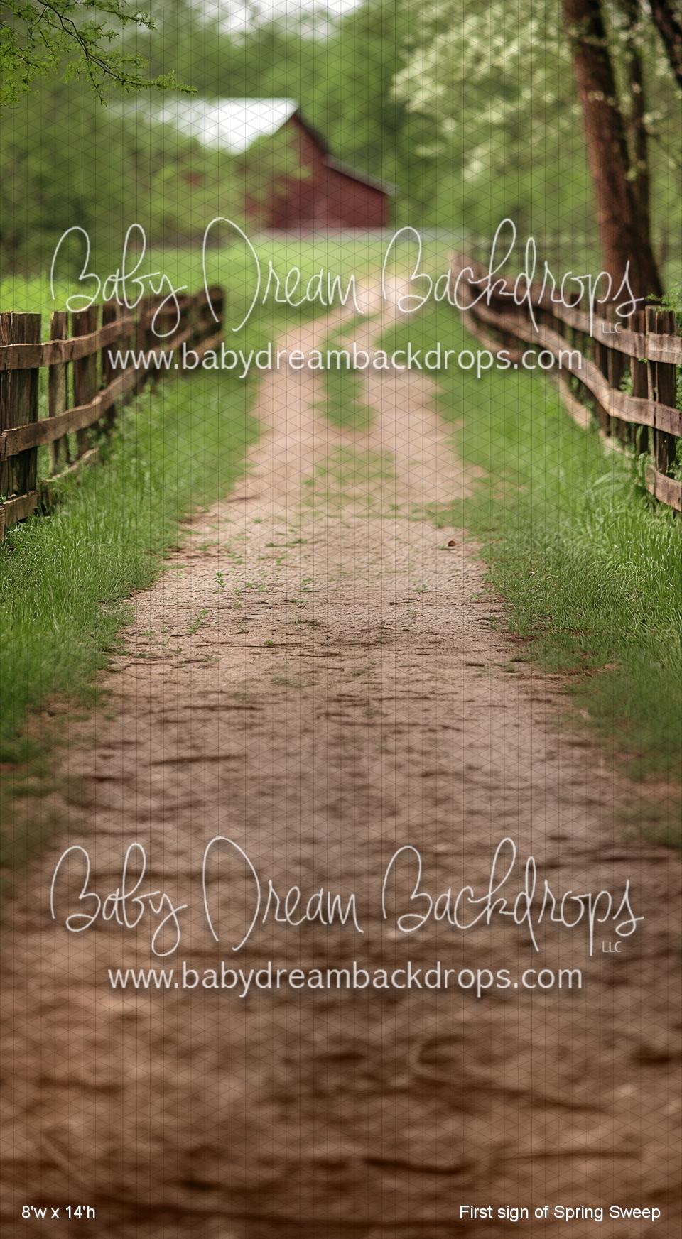 First sign of Spring Sweep (VR)