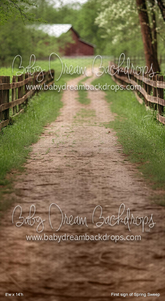 First sign of Spring Sweep (VR)