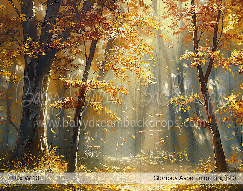 Glorious Aspen morning (BD)