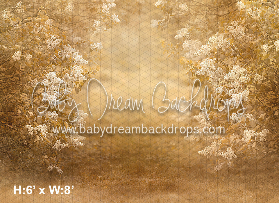 Golden Lilac Arch (KH)