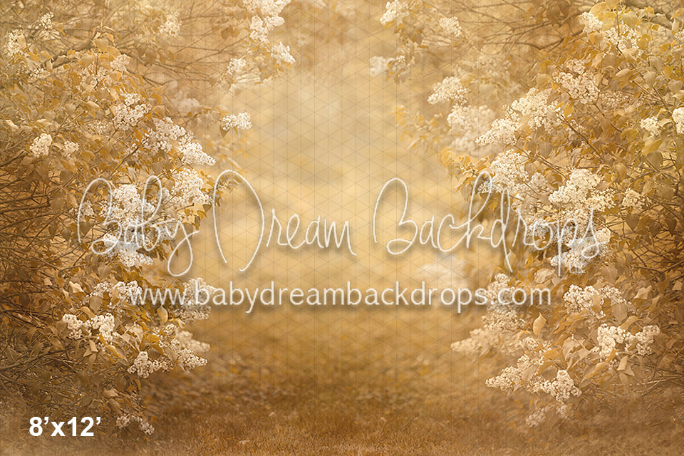 Golden Lilac Arch (KH)