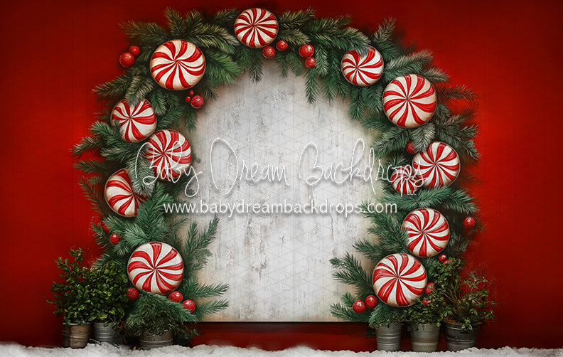 Nova Peppermint Twist (JA)