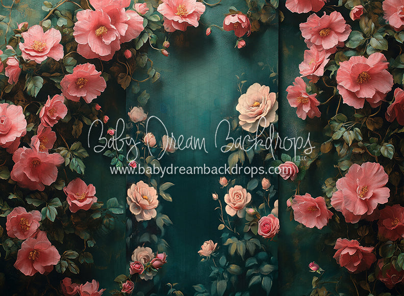 Nova Rich Spring (CC)