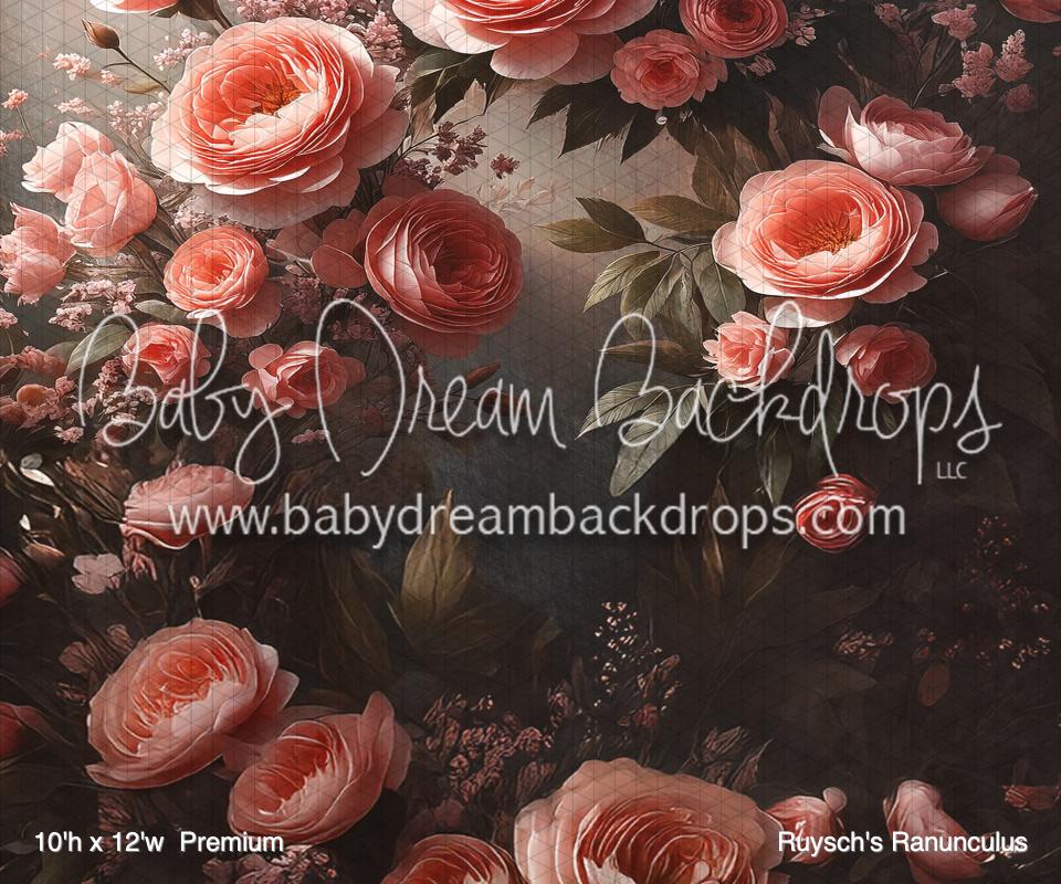 Ruysch's Ranunculus (BM)