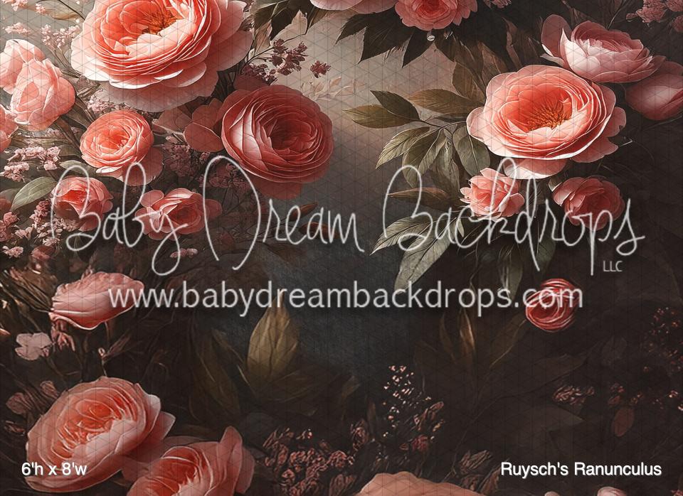 Ruysch's Ranunculus (BM)