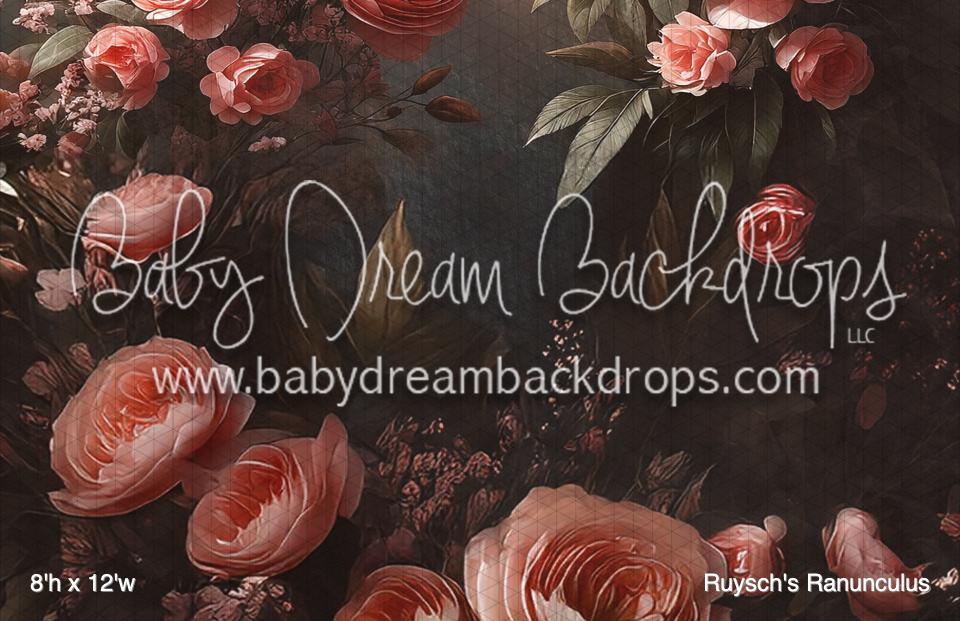 Ruysch's Ranunculus (BM)