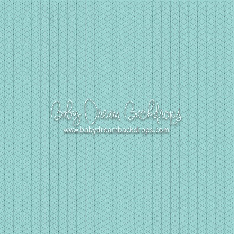 Smooth Robin's Egg (CC)